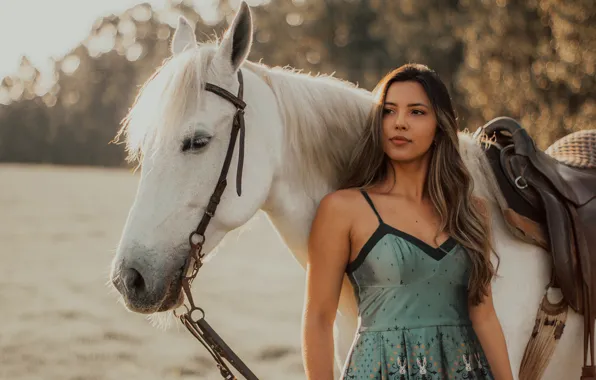White, look, girl, horse, horse, long-haired