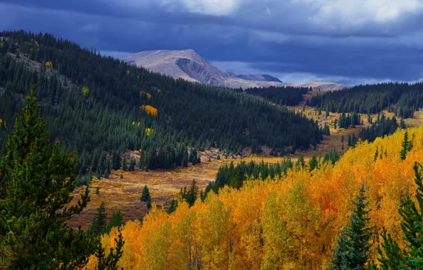 Picture autumn, forest, mountains, autumn in the mountains