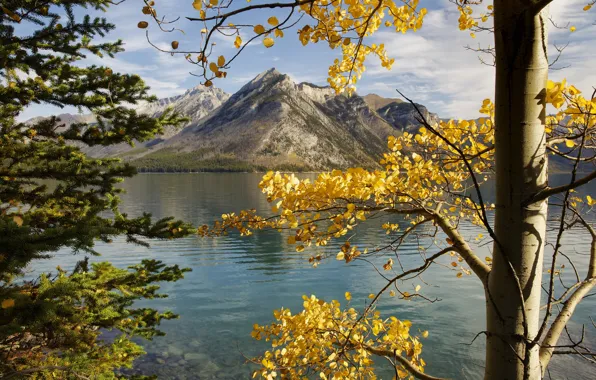 Autumn, the sky, leaves, trees, mountains, Canada, Albert, lake Minnewanka