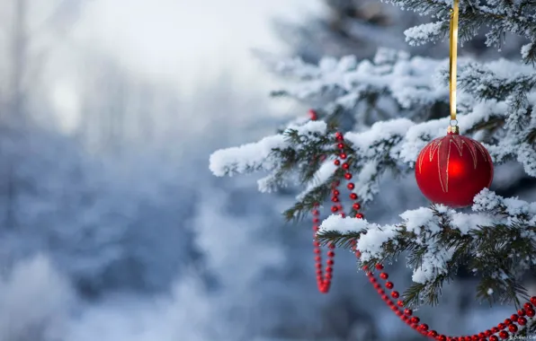 Snow, new year, ball, Christmas, tree, christmas