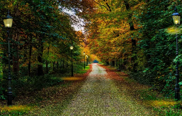 Picture autumn, leaves, trees, Park, lights, Netherlands, path, park