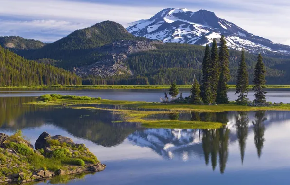 Picture forest, mountains, lake