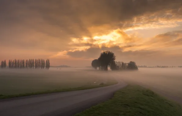 Road, the sky, clouds, trees, sunset, fog, Field, the evening