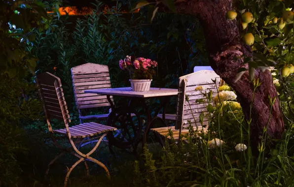 Leaves, flowers, night, comfort, tree, thickets, apples, chairs