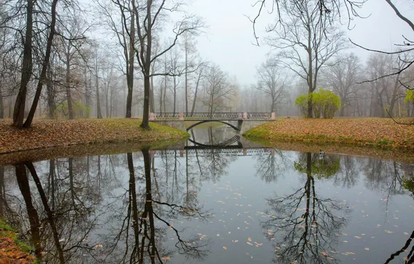 Autumn, bridge, reflection, river, Tsarskoye Selo