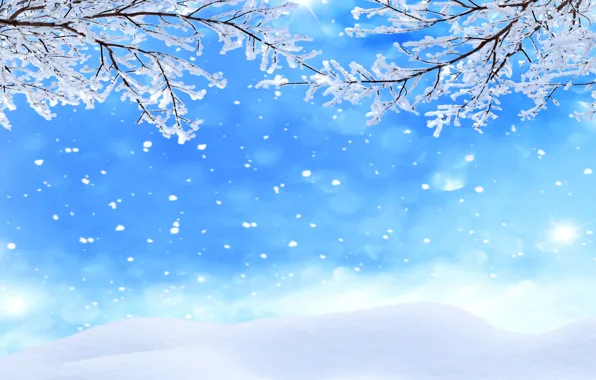 Winter, snow, branches