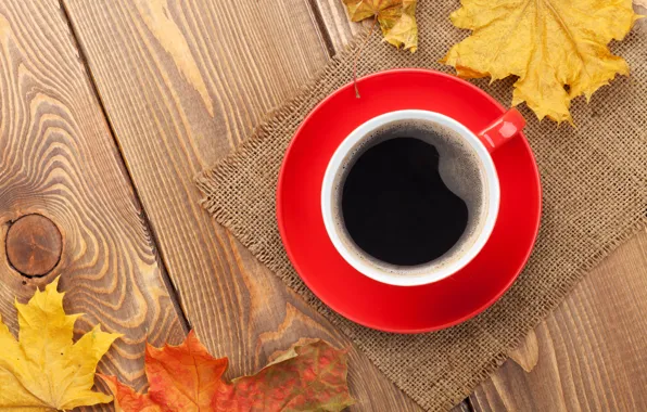 Picture autumn, Cup, maple, autumn, leaves, cup, coffee, fall
