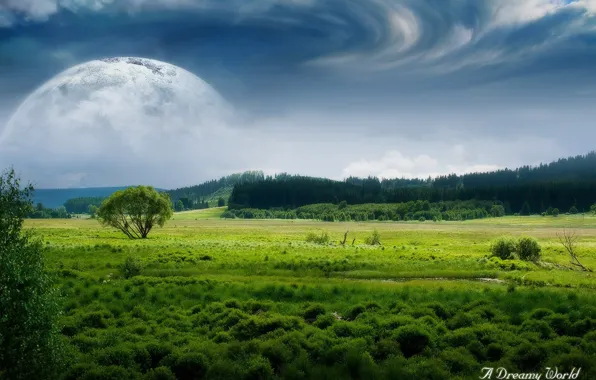 Field, forest, clouds, the moon, Dreamy World