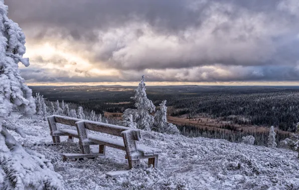 Picture winter, Finland, Finland, Posio