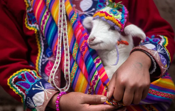 Hands, beads, sheep, cap, embroidery, Milota, bright clothes