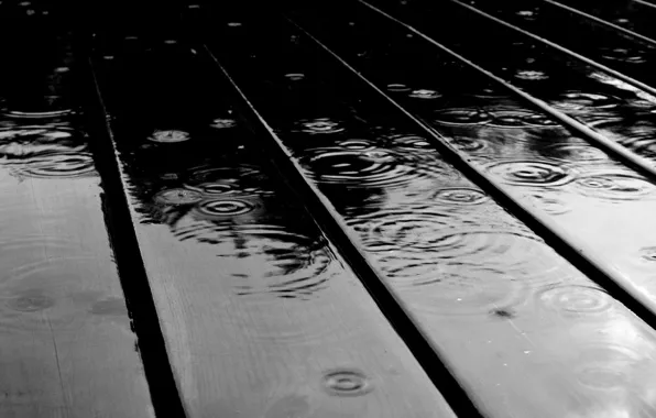Picture water, drops, macro, rain, Board, drop, Board, rains