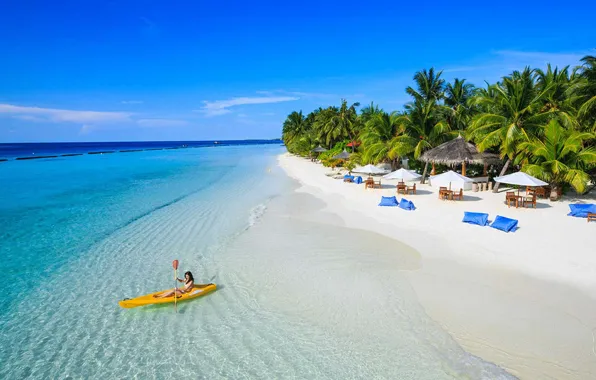 Beach, palm trees, the ocean, island, The Maldives, resort, Laguna