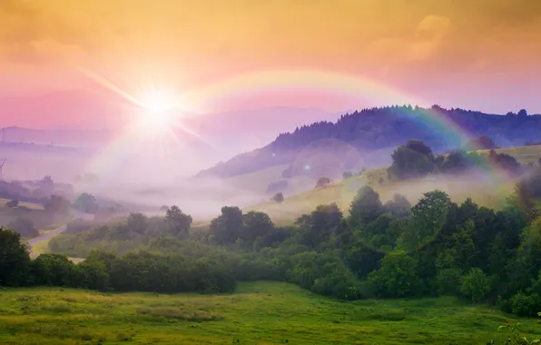 Forest, the sun, trees, mountains, nature, rainbow, rainbow, forest