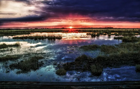 Picture the sun, sunset, clouds, swamp, horizon