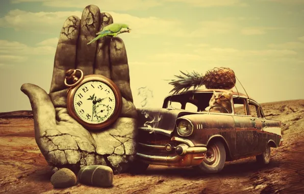 Hand, Watch, Retro, statue, Cat crashing
