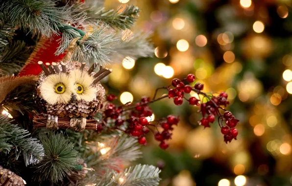 Picture winter, decoration, berries, holiday, owl, toys, tree, spruce