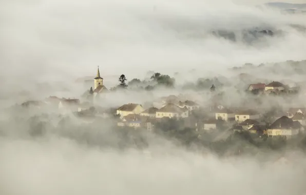 Picture fog, morning, Church, town, the village
