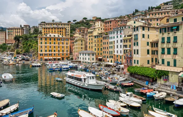 Sea, home, port, Italy, Liguria, Camogli