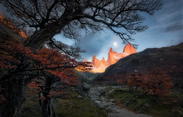 Autumn, the sky, mountains, branches, tree, rocks, the moon, twilight