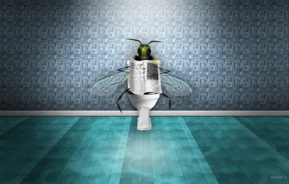 Bee, newspaper, toilet, news