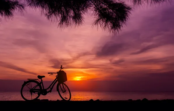 Picture sand, sea, wave, beach, summer, sunset, bike, palm trees