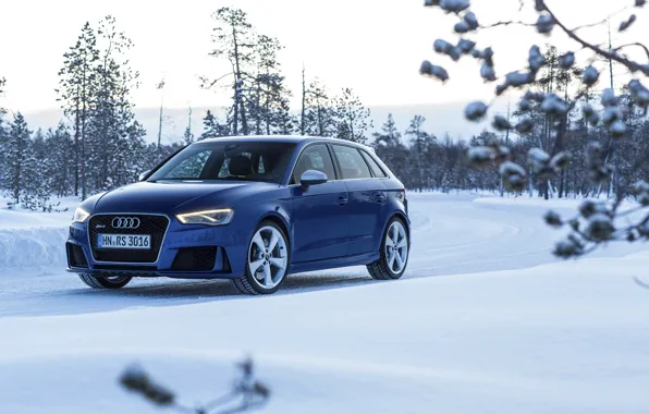 Picture photo, Audi, Winter, Blue, Snow, Car, Sportback, RS3