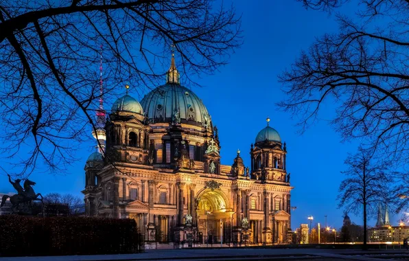 Trees, night, branches, the city, the evening, Germany, Church, Germany