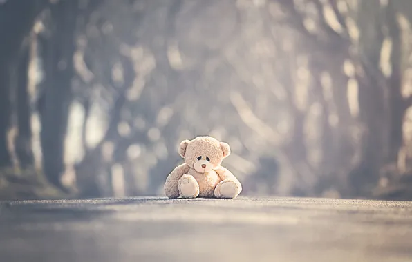 Picture road, mood, bear