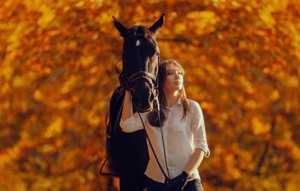 Autumn, forest, look, girl, light, trees, nature, Park