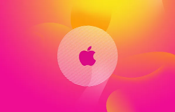 Picture color, apple, gradient, logo, logo, Hi-Tech