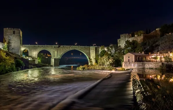 Picture trees, night, bridge, lights, river, lights, fortress, Spain