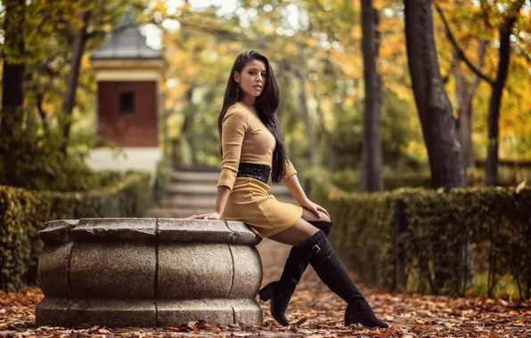 Picture autumn, girl, pose, Park, boots, dress, long hair, Lorena
