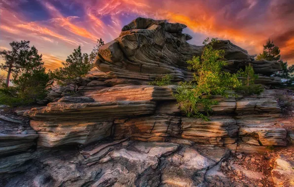 Picture trees, sunset, nature, rock, Perm Krai, Paul Sahaidak