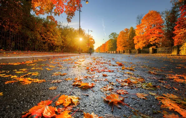 Golden autumn, Ed Gordeev, Tsarskoye Selo, the road into the distance