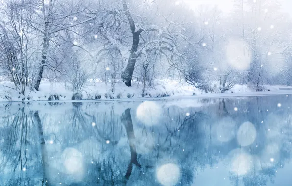 Picture winter, trees, landscape, tale, snowfall, Winter beauty, snow wonderland, blue covering