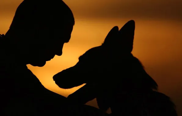 Picture BACKGROUND, The SKY, SUNSET, PEOPLE, SILHOUETTES, DOG, EACH, SHAPE