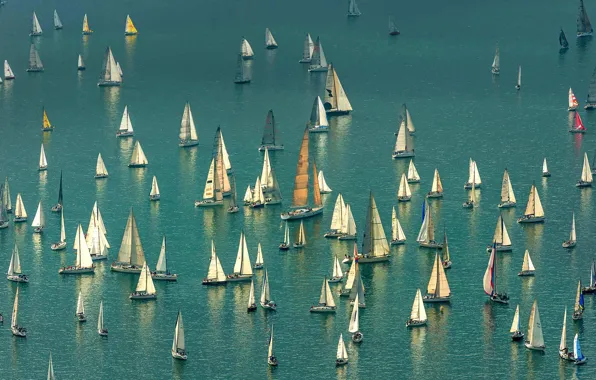 Picture yacht, Italy, sailing, regatta Barcolana, Gulf of Trieste
