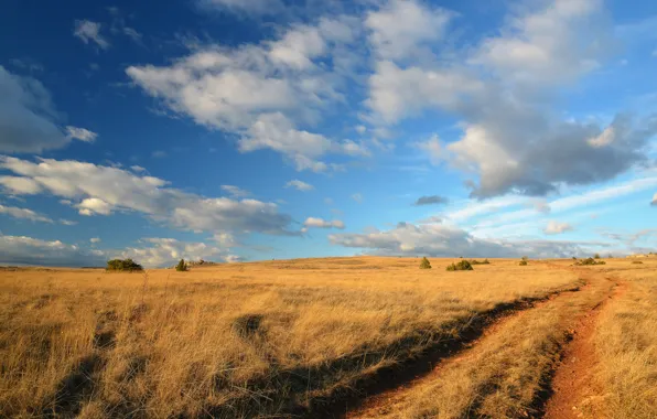 Field, clouds, trees, horizon
