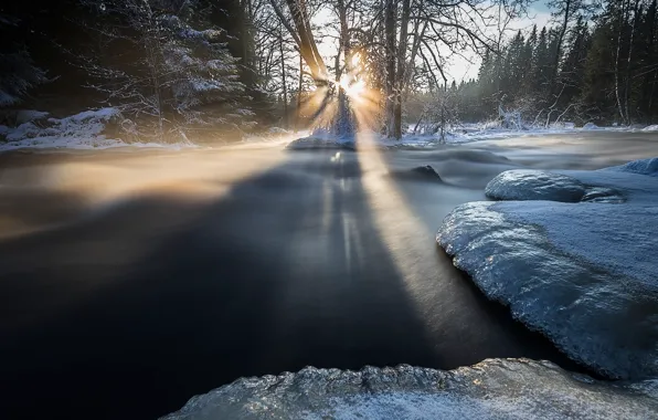 Winter, the sun, nature, river, ice