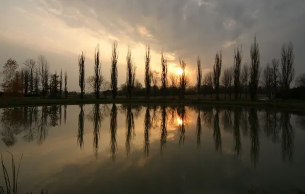 Trees, pond, Sunset, The sun