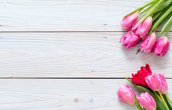 Flowers, tulips, pink, fresh, wood, pink, flowers, tulips
