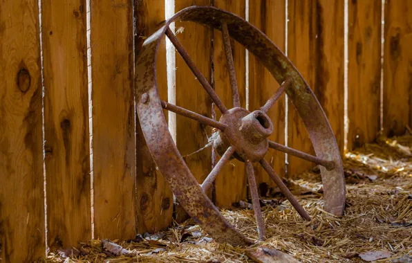 The fence, wheel, rusty