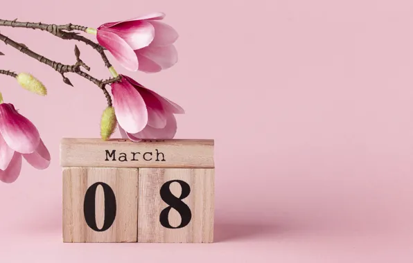 Flowers, branches, holiday, cubes, spring, figure, pink, pink background