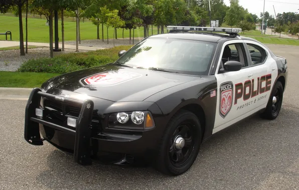 Car, machine, Dodge, muscle, police, Dodge Charger