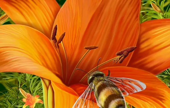 Lily, bumblebee, yellow