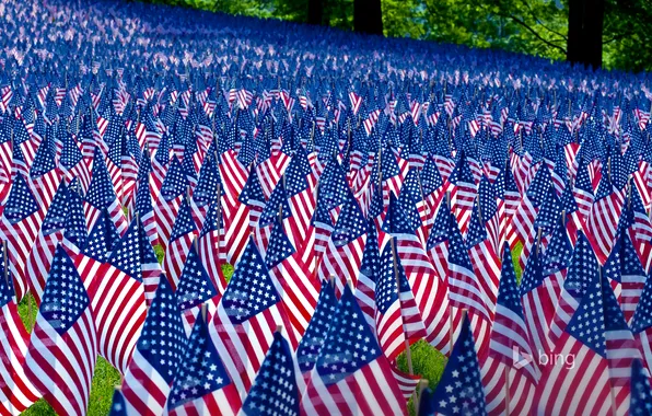 Picture texture, meadow, USA, flags