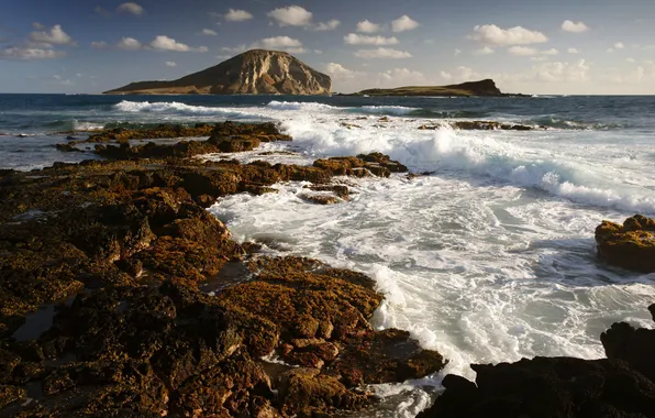 Sea, wave, foam, squirt, nature, stones, rocks, sea