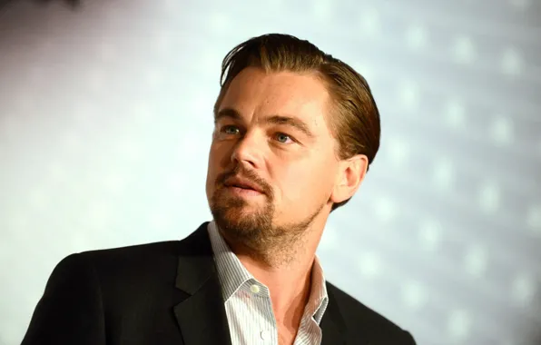 Male, actor, Leonardo DiCaprio, Leonardo DiCaprio