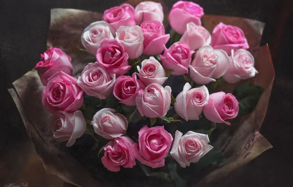 Drops, roses, bouquet, pink, buds, Marina Baccardi