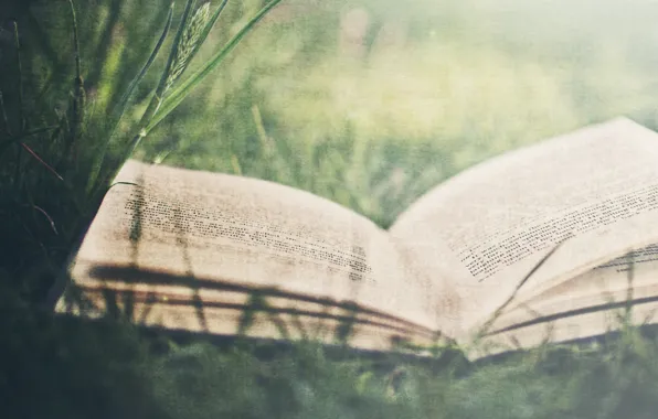 Picture white, grass, leaves, retro, letters, mood, books, leaves